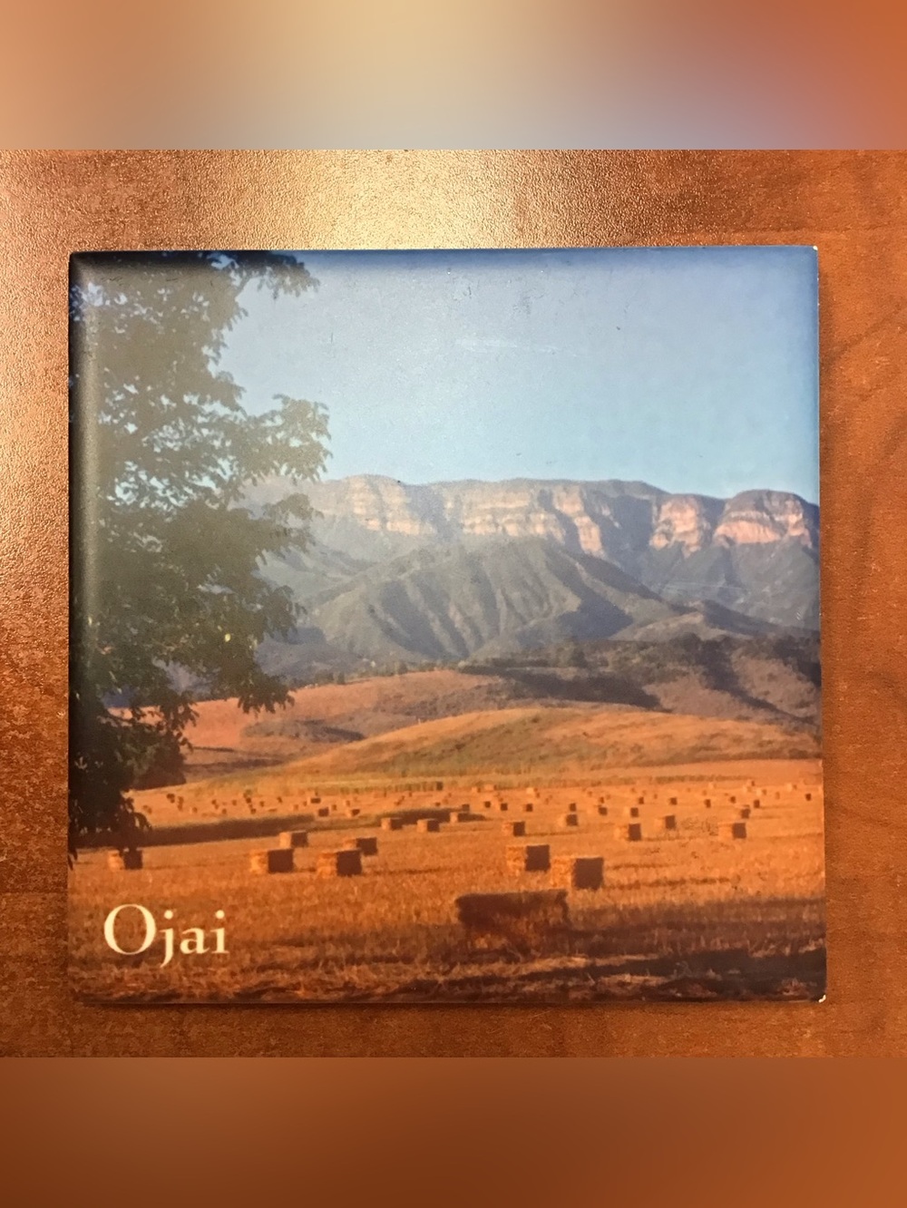 Vintage Ojai Photograph Mountains Farm Coaster